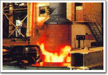 ����鿴��